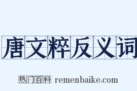 唐文粹反义词是什么意思的图片